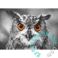 Ulmer 1000 db-os puzzle - Owl (0411)