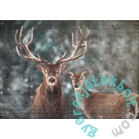 Ulmer 1000 db-os puzzle - Outdoors Together (0466)