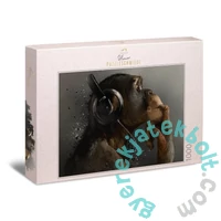 Ulmer 1000 db-os puzzle - Sound of Evolution (0626)