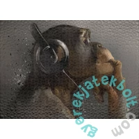 Ulmer 1000 db-os puzzle - Sound of Evolution (0626)