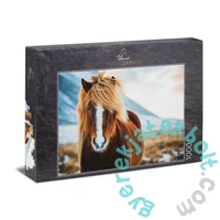 Ulmer 1000 db-os puzzle - Miss Winterhair (0640)
