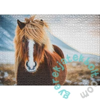 Ulmer 1000 db-os puzzle - Miss Winterhair (0640)