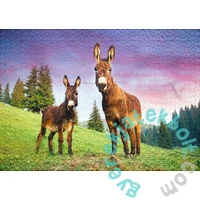 Ulmer 1000 db-os puzzle - Alpine Donkey (0787)