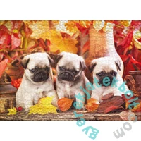 Ulmer 1000 db-os puzzle - Puppy Happiness (0893)