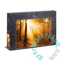 Ulmer 1000 db-os puzzle - Golden Autumn Forest (0909)