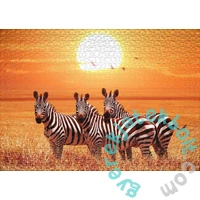 Ulmer 1000 db-os puzzle - Under the African Sun (0923)
