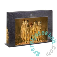 Ulmer 1000 db-os puzzle - Little Rascal (1180)