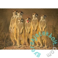 Ulmer 1000 db-os puzzle - Little Rascal (1180)