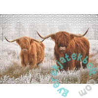 Ulmer 1000 db-os puzzle - Winter Friends (1524)