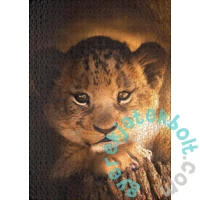 Ulmer 1000 db-os puzzle - Little Prince (1609)