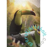 Ulmer 1000 db-os puzzle - Toucan & Peacock Butterfly (1616)