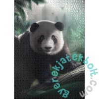 Ulmer 1000 db-os puzzle - Panda in Bamboo Forest (1623)