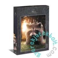 Ulmer 1000 db-os puzzle - Raccoon Looking for a Friend (1630)