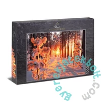Ulmer 1000 db-os puzzle - Winter Sun (2439)