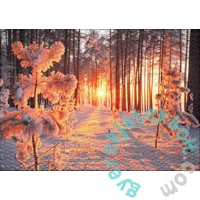 Ulmer 1000 db-os puzzle - Winter Sun (2439)