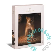 Ulmer 1000 db-os puzzle - Simba (2514)