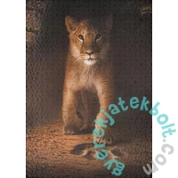 Ulmer 1000 db-os puzzle - Simba (2514)