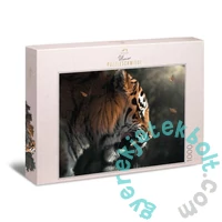 Ulmer 1000 db-os puzzle - Eye to Eye (2538)