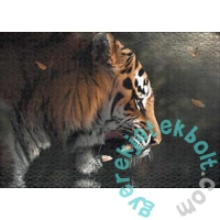 Ulmer 1000 db-os puzzle - Eye to Eye (2538)