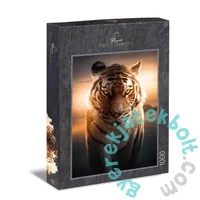 Ulmer 1000 db-os puzzle - Eyes of the Night (2569)