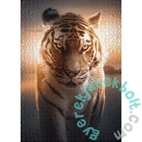 Ulmer 1000 db-os puzzle - Eyes of the Night (2569)