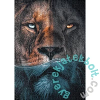Ulmer 1000 db-os puzzle - Fire and Water (2583)
