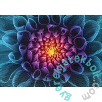 Ulmer 1000 db-os puzzle - Mysterious Blossom (2682)