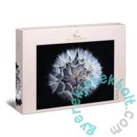 Ulmer 1000 db-os puzzle - Dandelion (2736)
