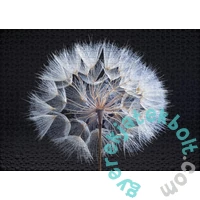 Ulmer 1000 db-os puzzle - Dandelion (2736)