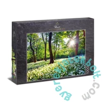 Ulmer 1000 db-os puzzle - Spring Sun (2743)