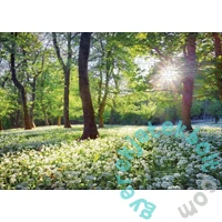 Ulmer 1000 db-os puzzle - Spring Sun (2743)
