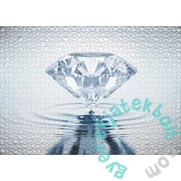 Ulmer 1000 db-os puzzle - Precious Silence (2750)