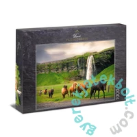 Ulmer 1000 db-os puzzle - Icelandic Horse (2804)