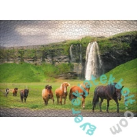 Ulmer 1000 db-os puzzle - Icelandic Horse (2804)