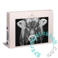 Ulmer 1000 db-os puzzle - Allgäu (2927)