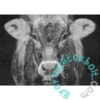 Ulmer 1000 db-os puzzle - Allgäu (2927)