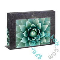 Ulmer 1000 db-os puzzle - Agave (2965)