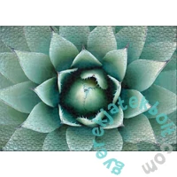 Ulmer 1000 db-os puzzle - Agave (2965)
