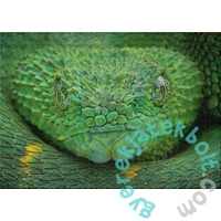 Ulmer 1000 db-os puzzle - Poison Green (3023)