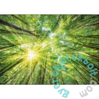 Ulmer 1000 db-os puzzle - Light and Shadow (3054)