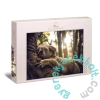 Ulmer 1000 db-os puzzle - The Dreamer (3160)