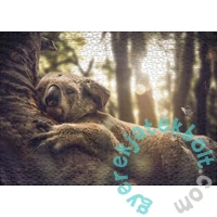 Ulmer 1000 db-os puzzle - The Dreamer (3160)