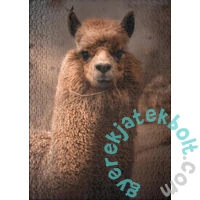 Ulmer 1000 db-os puzzle - Queen of the Andes (3191)