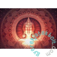 Ulmer 1000 db-os puzzle - Silent Enlightenment (3559)