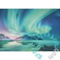 Ulmer 1000 db-os puzzle - Polar Night (3610)