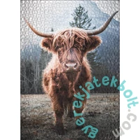 Ulmer 500 db-os puzzle - Highlands (3658)