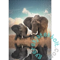 Ulmer 500 db-os puzzle - Father & Son (3801)