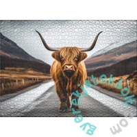 Ulmer 1000 db-os puzzle - Highland Road (4013)