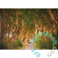 Ulmer 1000 db-os puzzle - The Dark Hedges (4655)
