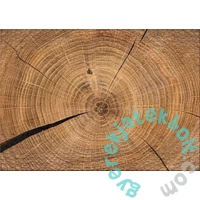 Ulmer 1000 db-os puzzle - Chronicle of Wood (4679)